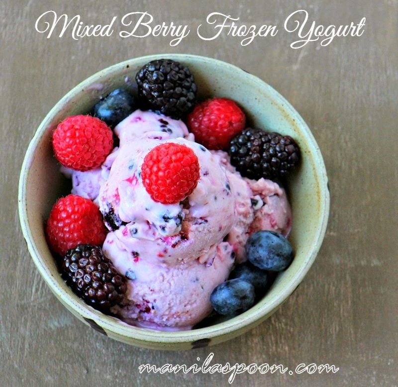 How to Make Mixed Berry Frozen Yogurt Manila Spoon