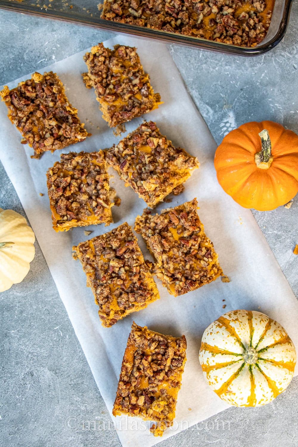 Pumpkin and Pecan Cheesecake Bars