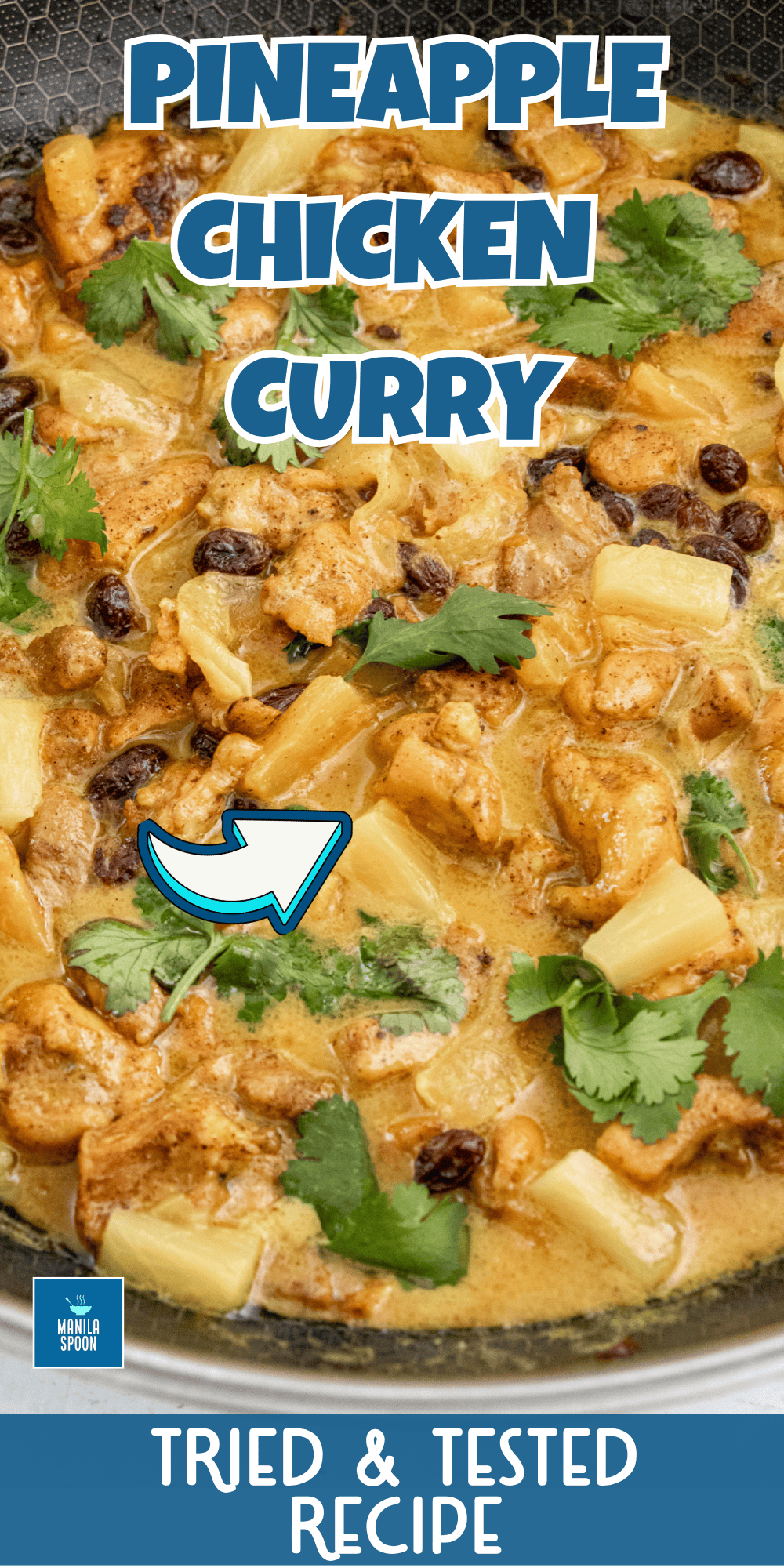 Mild and fruity chicken curry with the perfect blend of sweet and spicy flavors! Quick and easy to make it's ready in 30 minutes! 30-Minute Pineapple Cinnamon Chicken Curry | Easy Weeknight Dinner