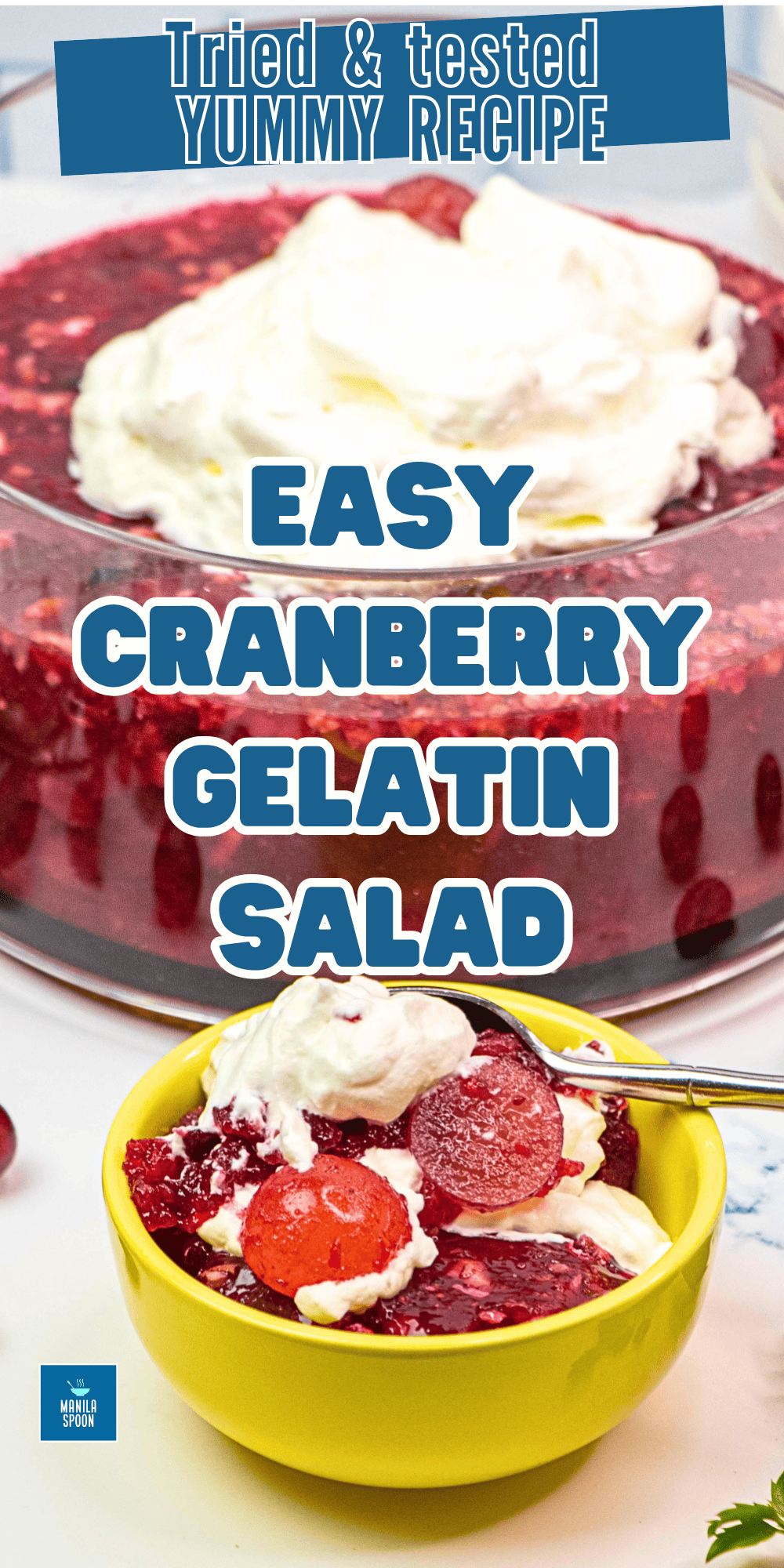 Whether for Thanksgiving or Christmas this delicious and easy-to-make Cranberry Gelatin Salad is a must on any holiday table. Comes together in minutes and so very simple, it so convenient as it can be made a day or two ahead of time. A guaranteed crowd-pleaser! Whether for Thanksgiving or Christmas, this delicious and easy-to-make Cranberry Gelatin Salad is a must on any holiday table. Comes together in minutes and so very simple, it is also so convenient as this Cranberry Gelation Salad can be made a day or two ahead. So festive and tasty, it's a guaranteed crowd-pleaser! Image pin.