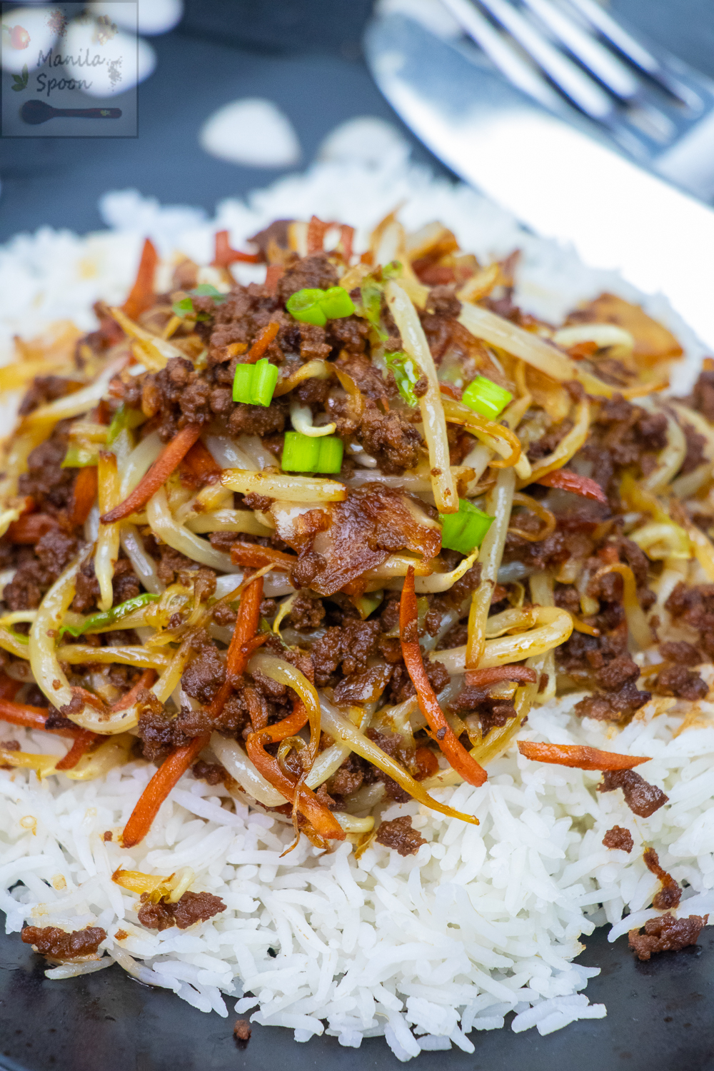 Korean-style Sauteed Beef with Bean Sprouts and Cabbage