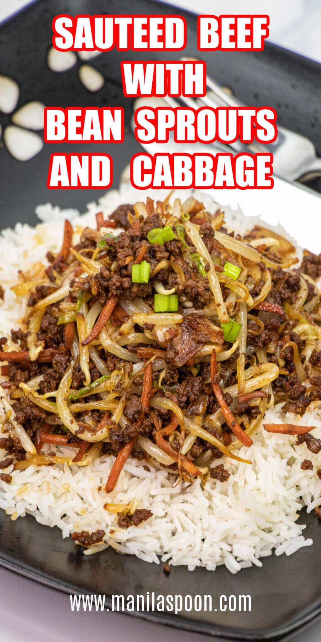 Koreanstyle Sauteed Beef with Bean Sprouts and Cabbage Manila Spoon