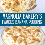 Magnolia Bakery's Famous Banana Pudding Pin showing a spoon with pudding on it