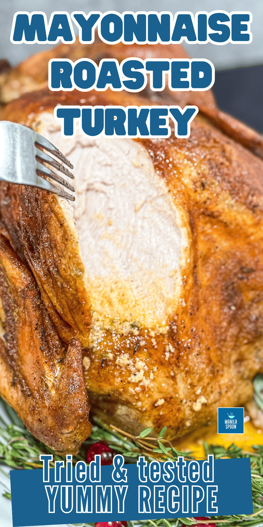Easy Mayonnaise Roasted Turkey Image Pin