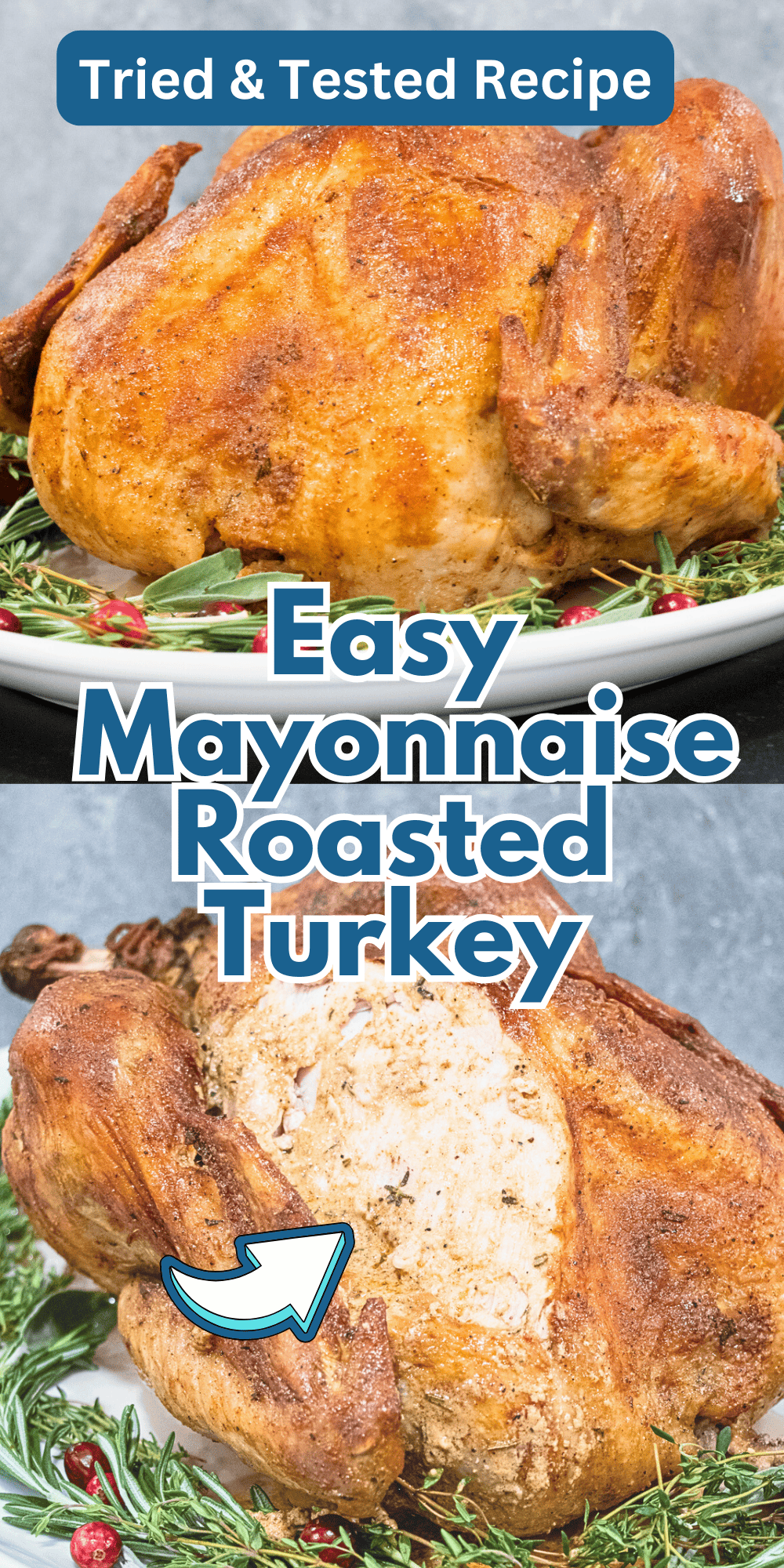 Easy Mayonnaise Roasted Turkey Image Pin