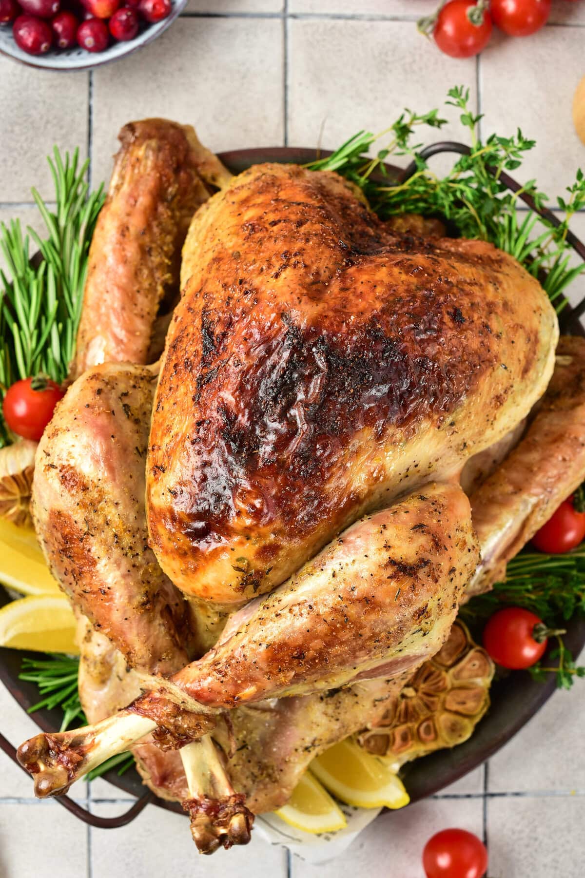 Easy Roast Turkey Recipe (with Chicken Stock)